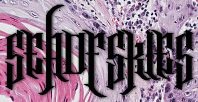 logo Sea Of Skies logo Sea Of Skies